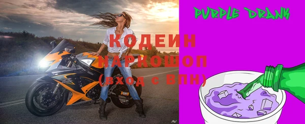 гидра Заводоуковск