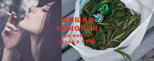 гидра Заводоуковск