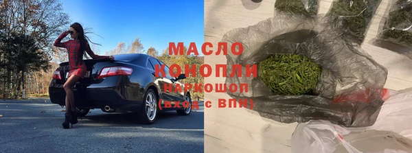 гидра Заводоуковск
