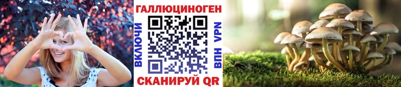 Псилоцибиновые грибы Psilocybe даркнет сайт Калач-на-Дону
