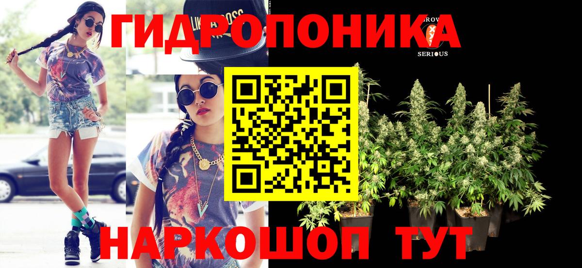 Бошки Шишки гибрид  МАРИХУАНА AK-47  Калач-на-Дону  Вход с VPN  МАРИХУАНА THC 21%  МАРИХУАНА семена 